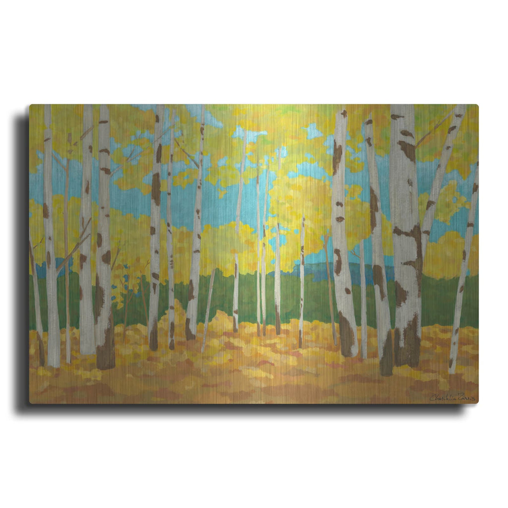'Mini Western Vista 2' by Chariklia Zarris – Metal Wall Art