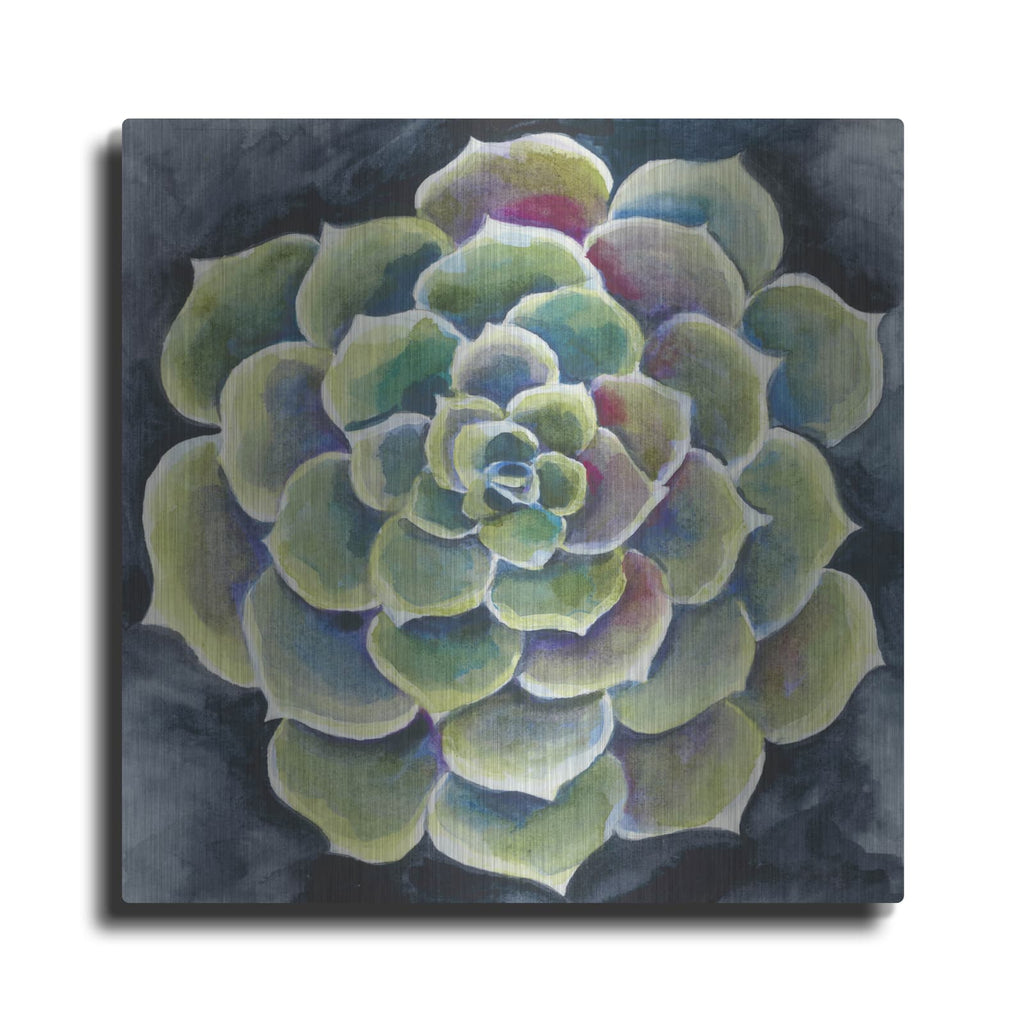 'Succulent Rosette 2' by Chariklia Zarris – Metal Wall Art