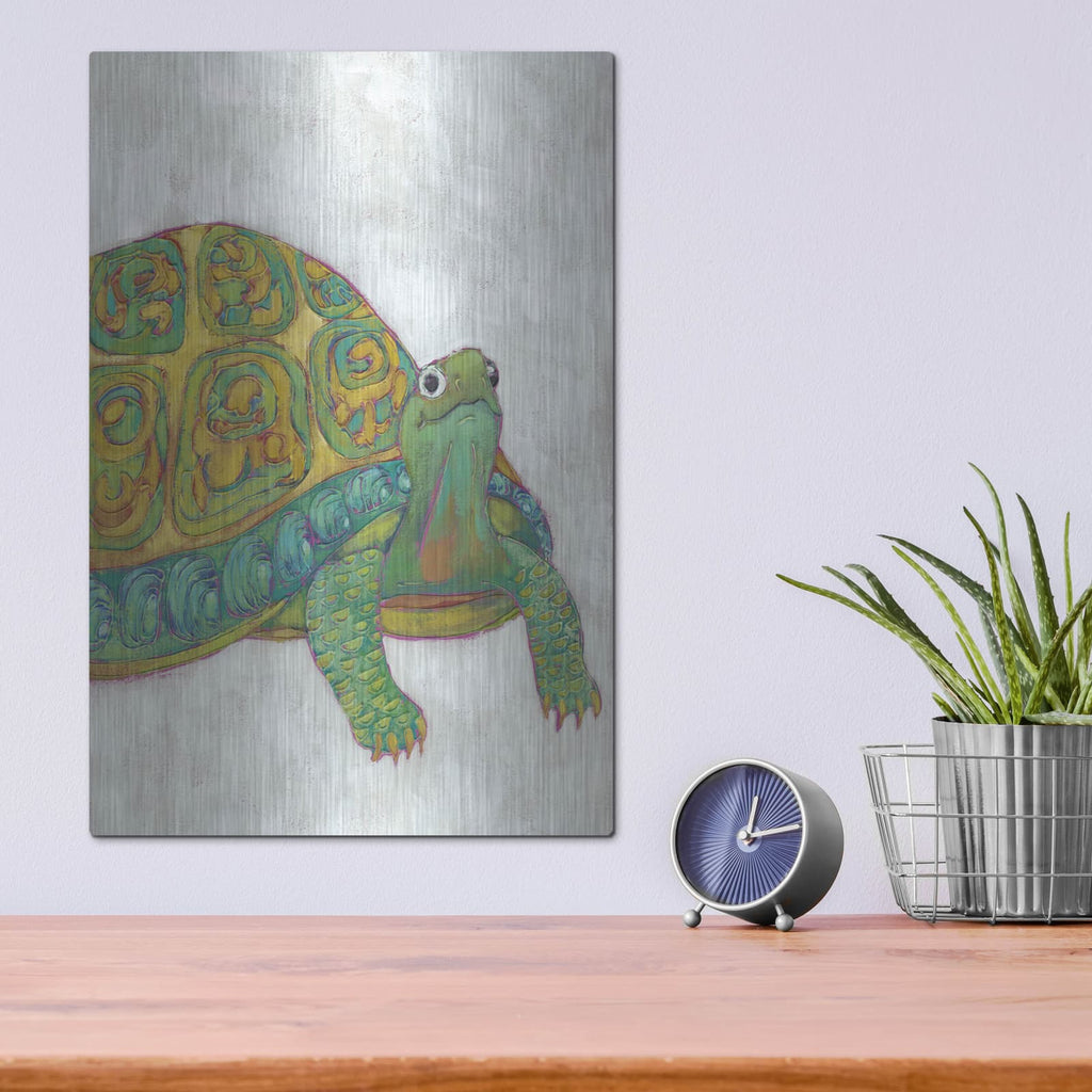 'Turtle Friends 1' by Chariklia Zarris – Metal Wall Art, 12x16 room view