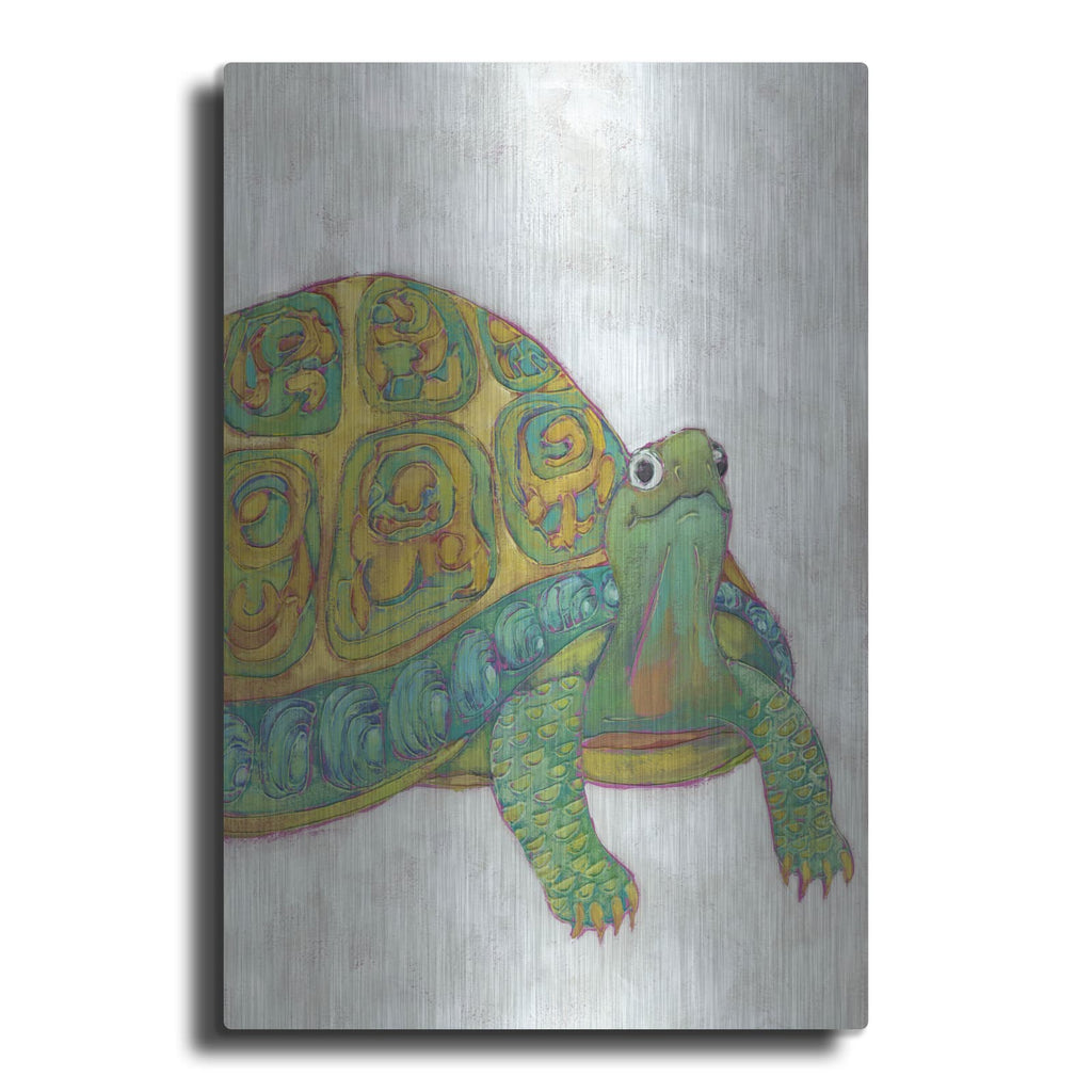 'Turtle Friends 1' by Chariklia Zarris – Metal Wall Art