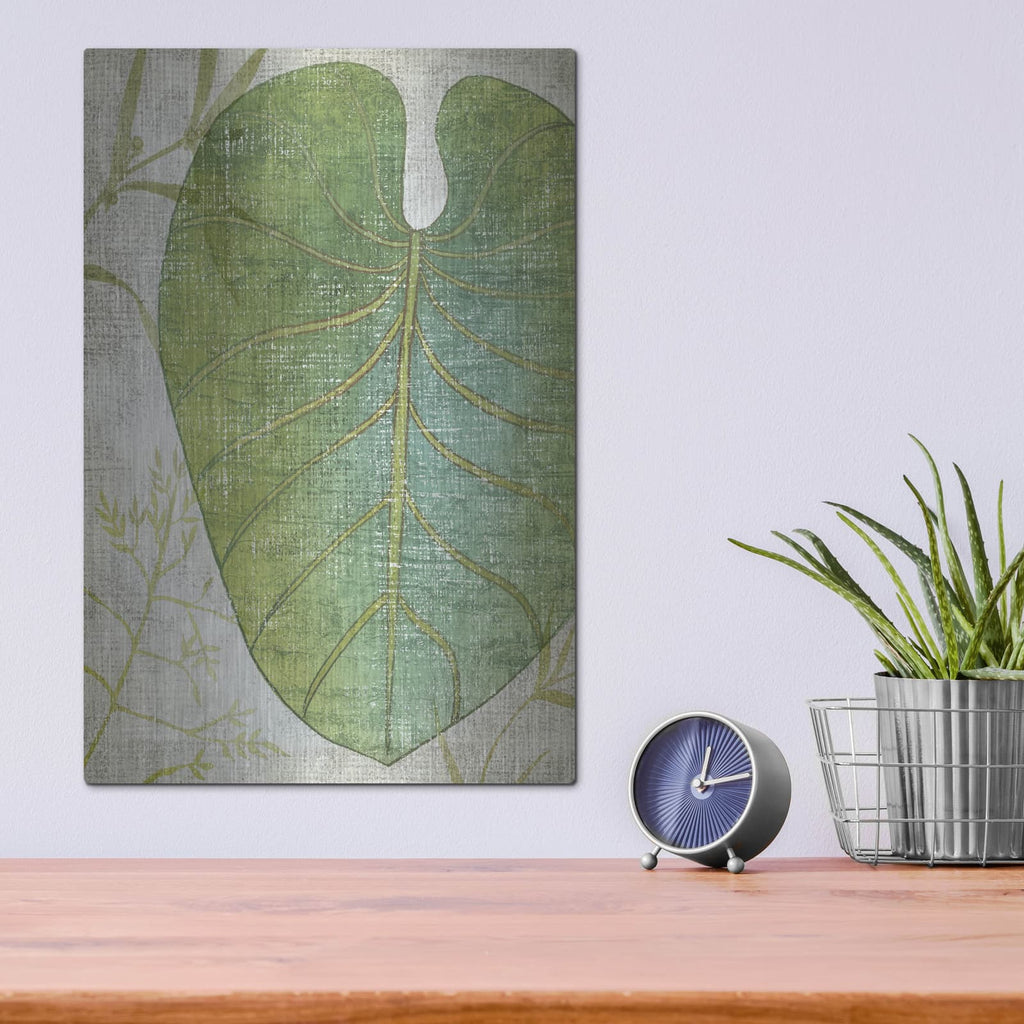 'Frond 4' by Chariklia Zarris – Metal Wall Art, 12x16 room view