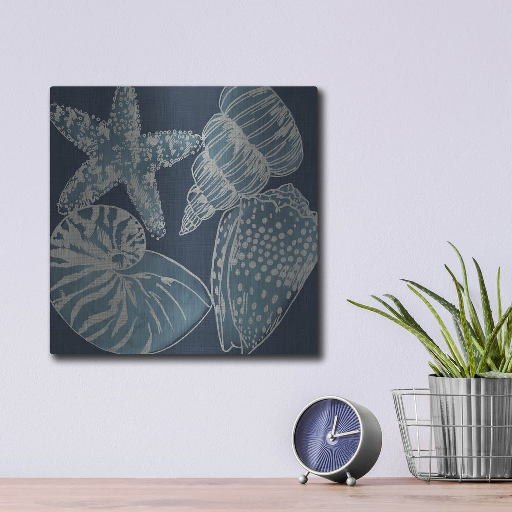'Marine Shells 1' by Chariklia Zarris – Metal Wall Art, 12x12 room view