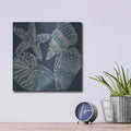 'Marine Shells 1' by Chariklia Zarris – Metal Wall Art, 12x12 room view