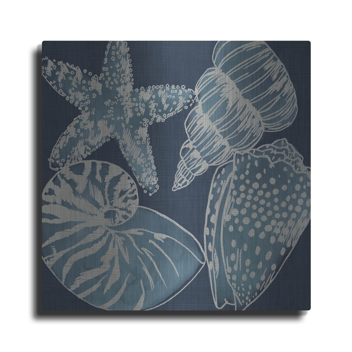 'Marine Shells 1' by Chariklia Zarris – Metal Wall Art