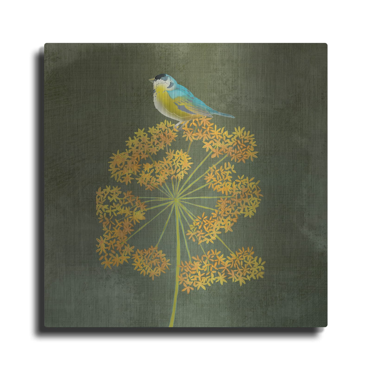 'Birding Collection E' by Chariklia Zarris – Metal Wall Art
