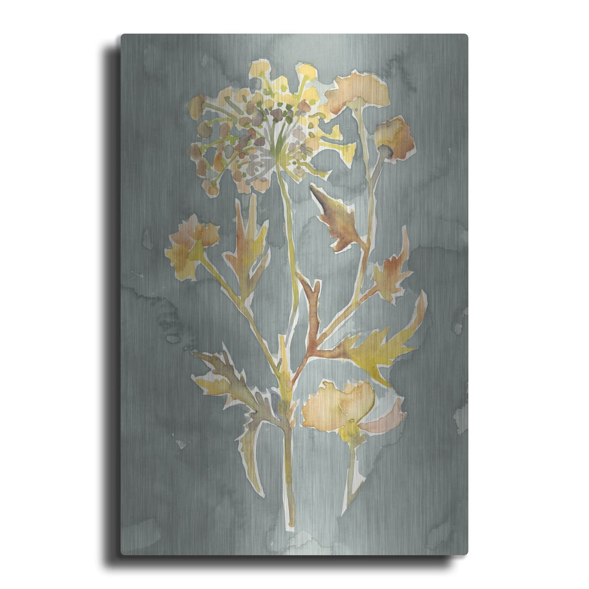 'Collected Florals 1' by Chariklia Zarris – Metal Wall Art