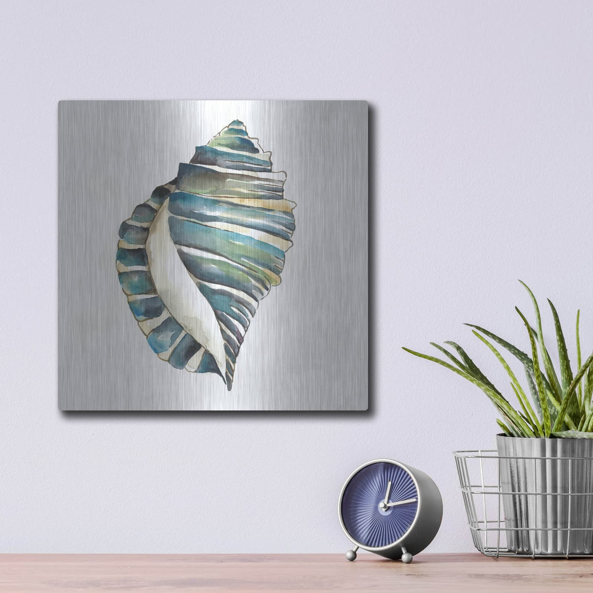'Aquarelle Shells 1' by Chariklia Zarris – Metal Wall Art, 12x12 room view