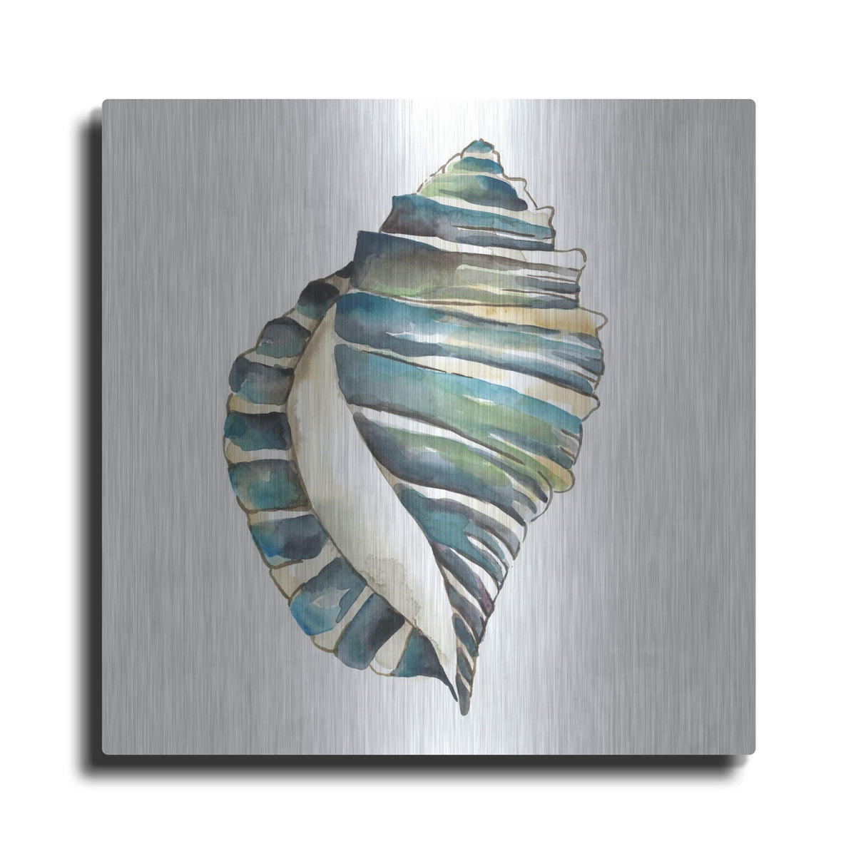 'Aquarelle Shells 1' by Chariklia Zarris – Metal Wall Art