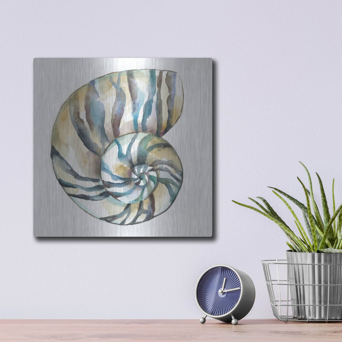'Aquarelle Shells 2' by Chariklia Zarris – Metal Wall Art, 12x12 room view