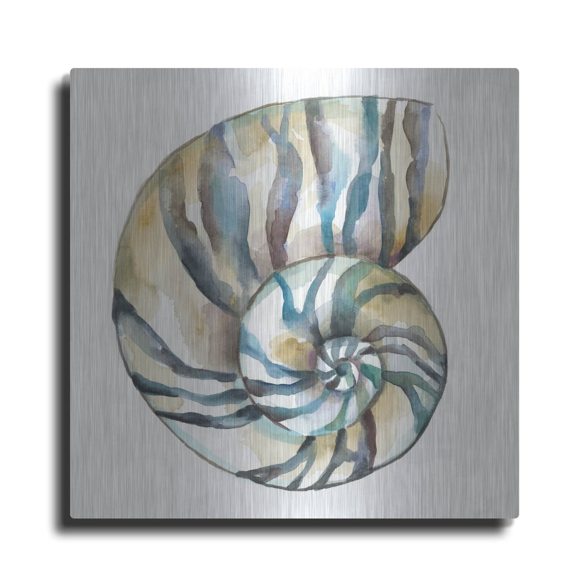 'Aquarelle Shells 2' by Chariklia Zarris – Metal Wall Art
