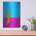 'Hallo Spaceboy II' by Craig Snodgrass – Metal Wall Art, 12x16 room view