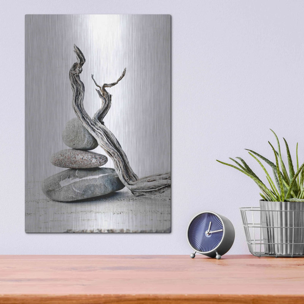'Elemental Zen' by Elena Ray – Metal Wall Art, 12x16 room view