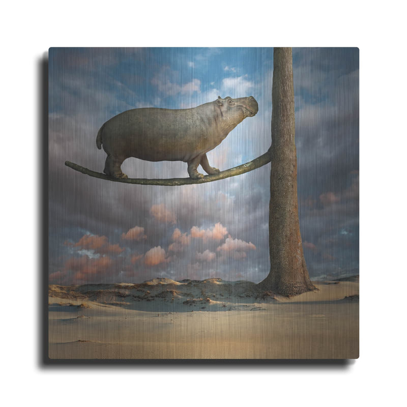 'Equilibrium' by Dariusz Klimczak – Metal Wall Art