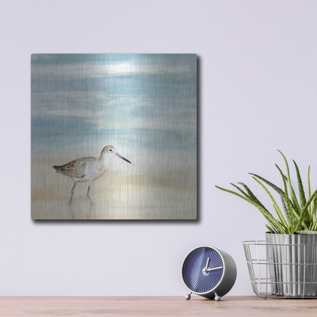 'Speckled Willet I' by Victoria Borges – Metal Wall Art, 12x12 room view