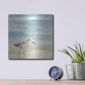 'Speckled Willet I' by Victoria Borges – Metal Wall Art, 12x12 room view