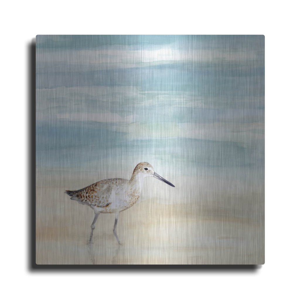 'Speckled Willet I' by Victoria Borges – Metal Wall Art