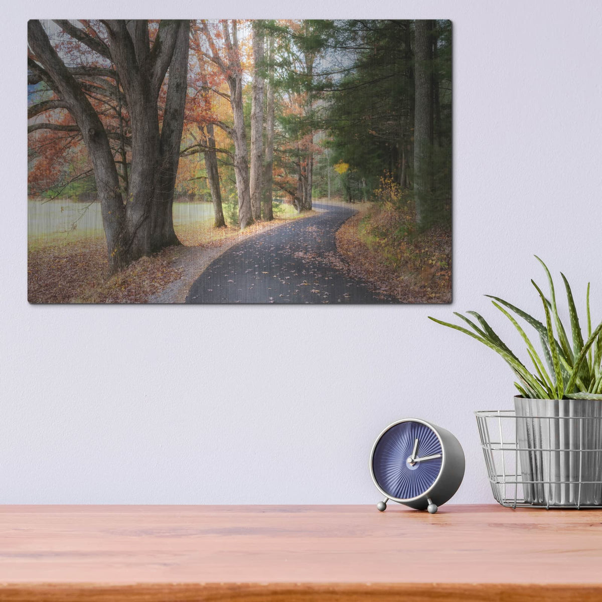 'Autumn Drive 1' by Danny Head – Metal Wall Art, 16x12 room view