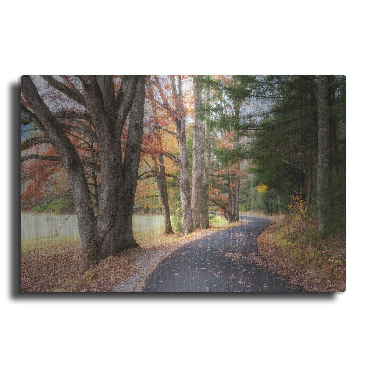 'Autumn Drive 1' by Danny Head – Metal Wall Art