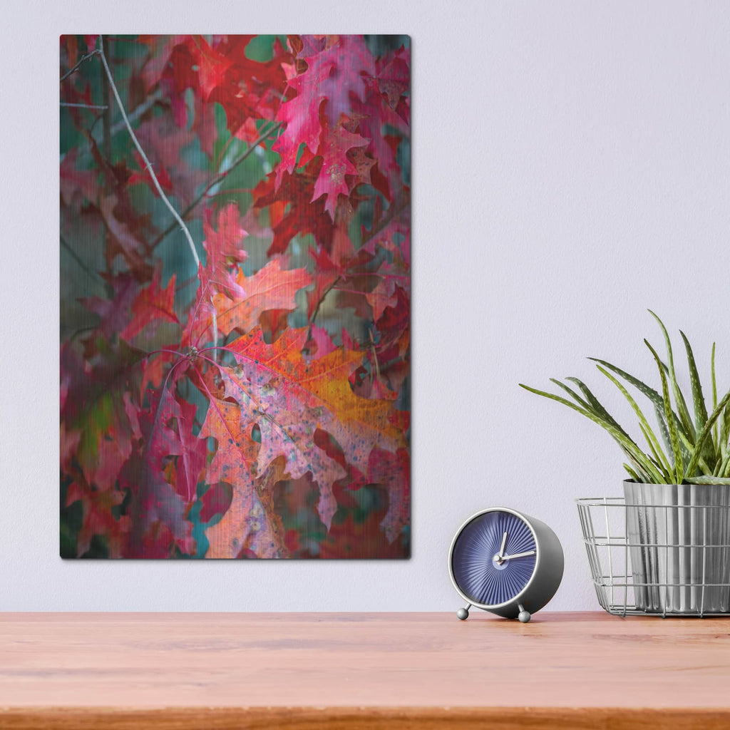 'Autumn Oak Leaves' by Danny Head – Metal Wall Art, 12x16 room view