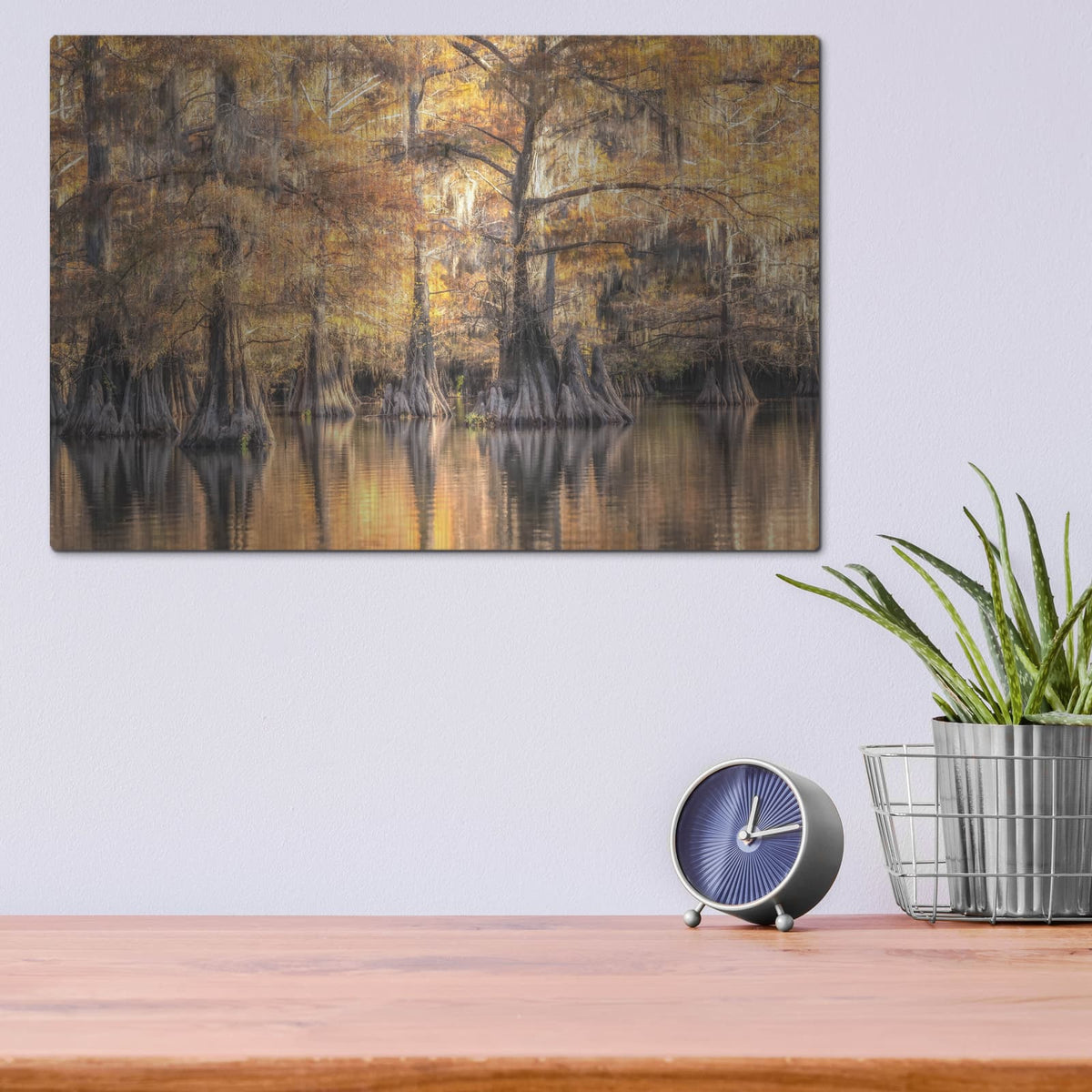 'Bayou Light 1' by Danny Head – Metal Wall Art, 16x12 room view