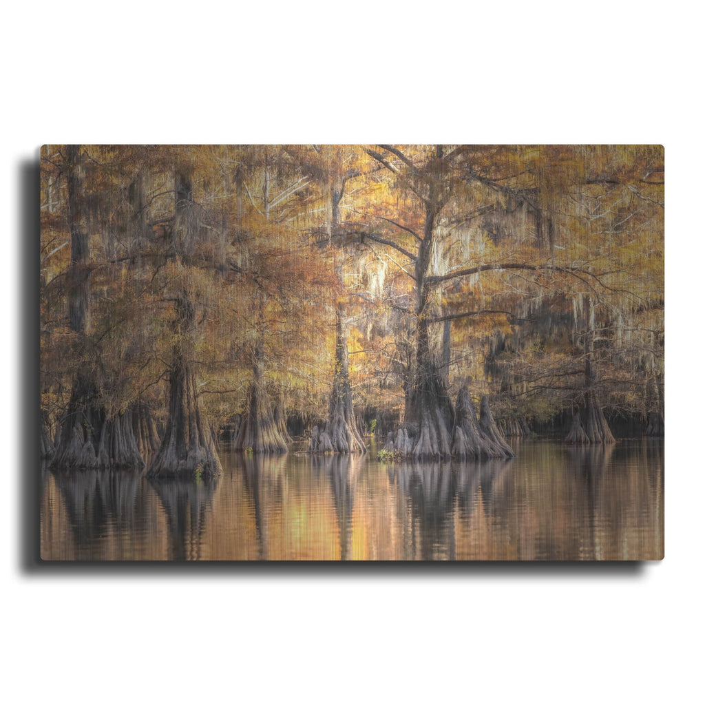 'Bayou Light 1' by Danny Head – Metal Wall Art