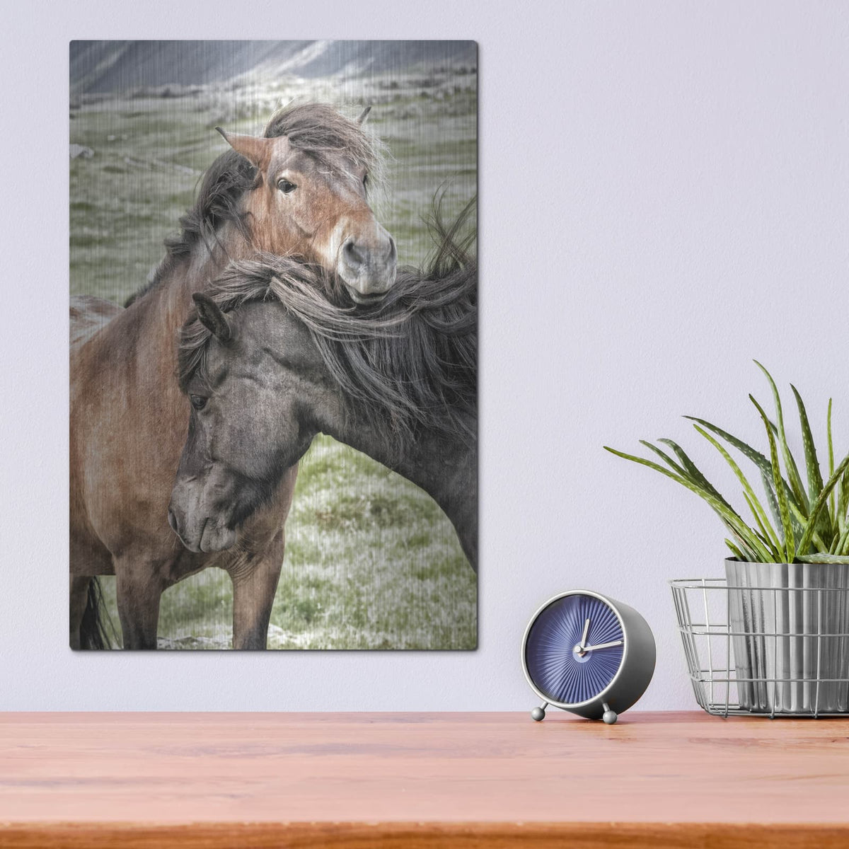 'Best Friends' by Danny Head – Metal Wall Art, 12x16 room view