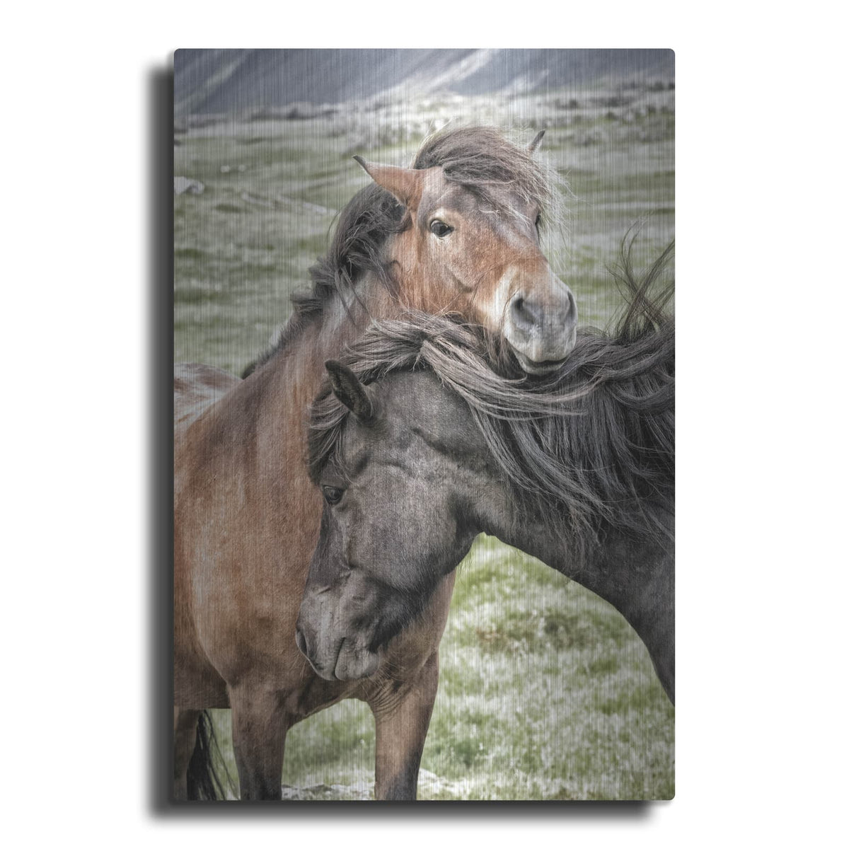 'Best Friends' by Danny Head – Metal Wall Art