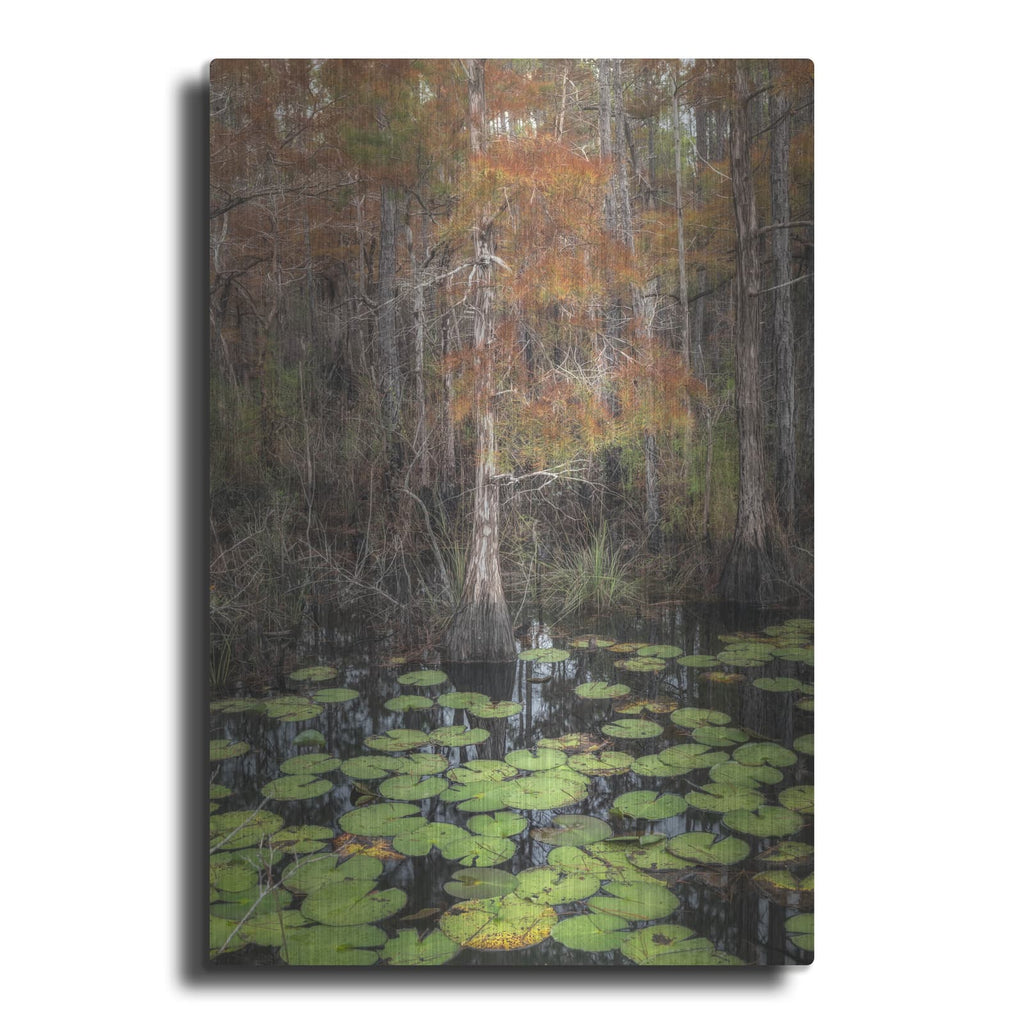 'Black Water 1' by Danny Head – Metal Wall Art
