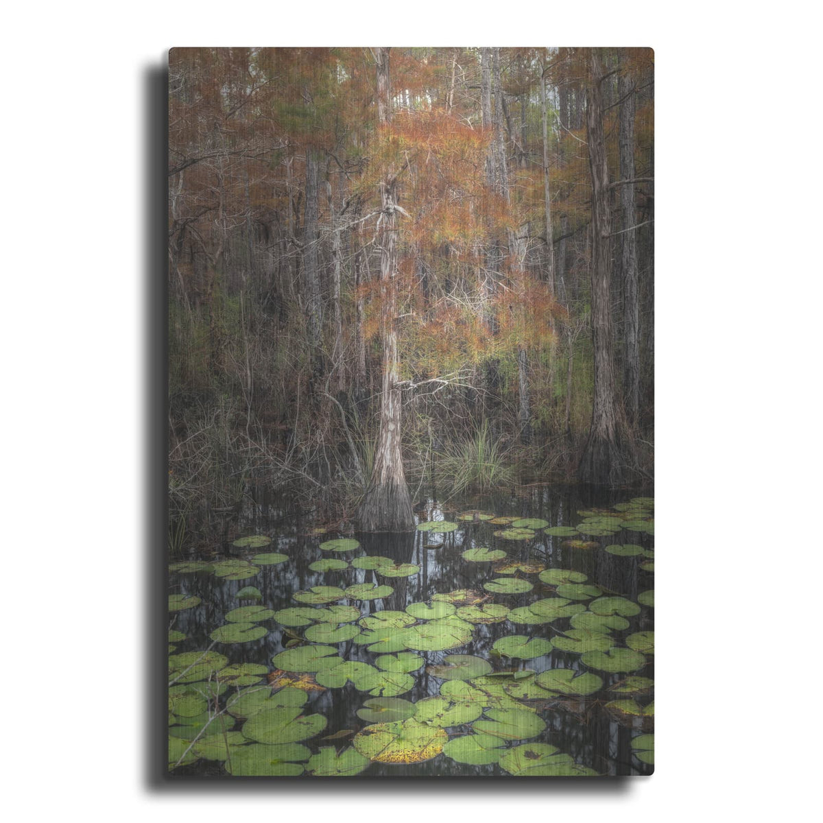'Black Water 1' by Danny Head – Metal Wall Art