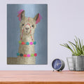 'Adorned Llama III' by Victoria Borges – Metal Wall Art, 12x16 room view