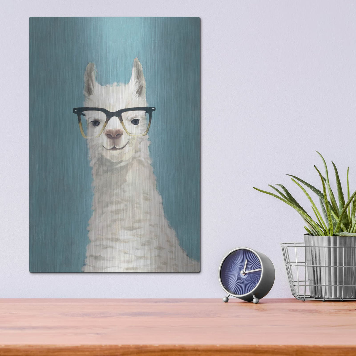 'Llama Specs II' by Victoria Borges – Metal Wall Art, 12x16 room view