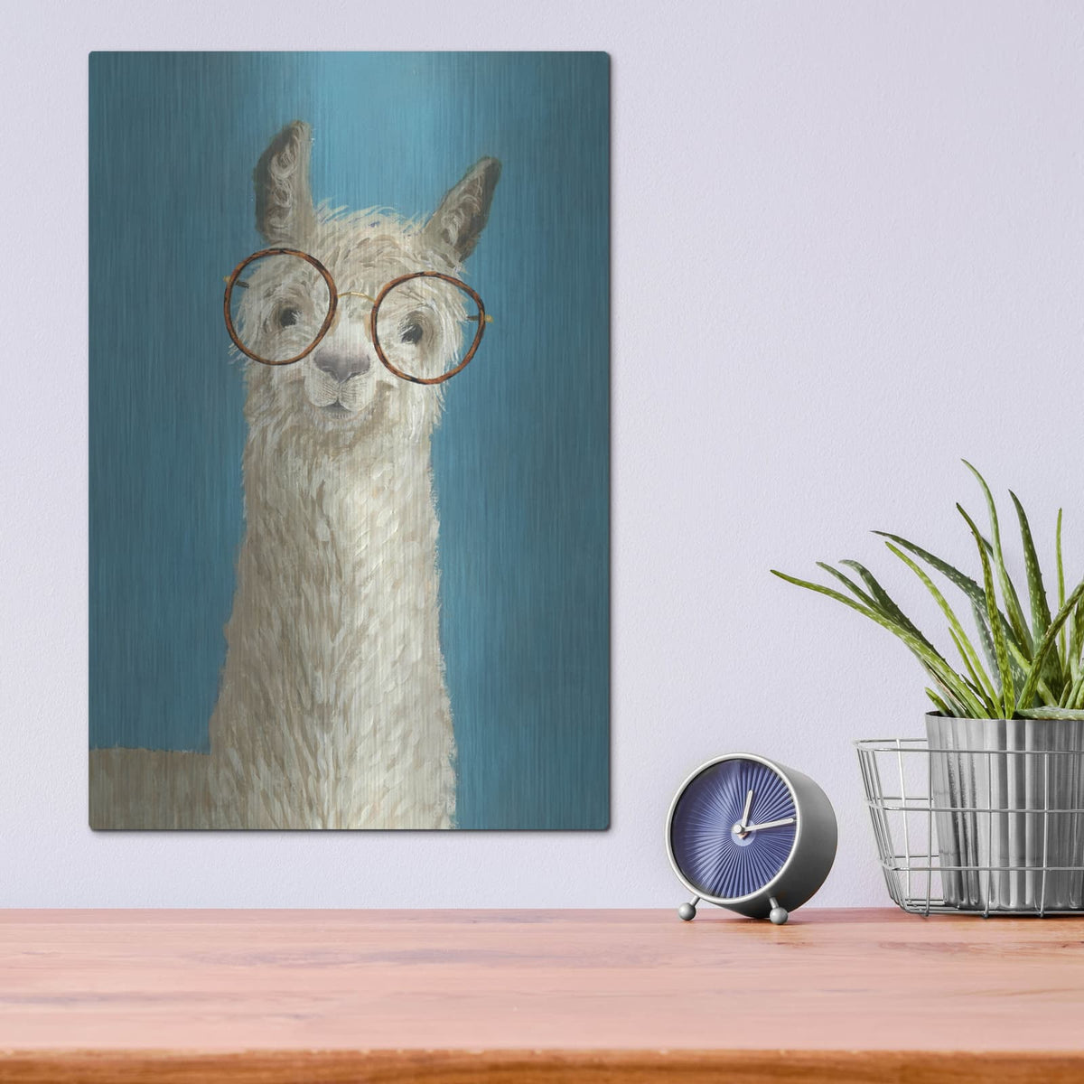 'Llama Specs III' by Victoria Borges – Metal Wall Art, 12x16 room view