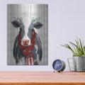 'Yuletide Cow II' by Victoria Borges – Metal Wall Art, 12x16 room view