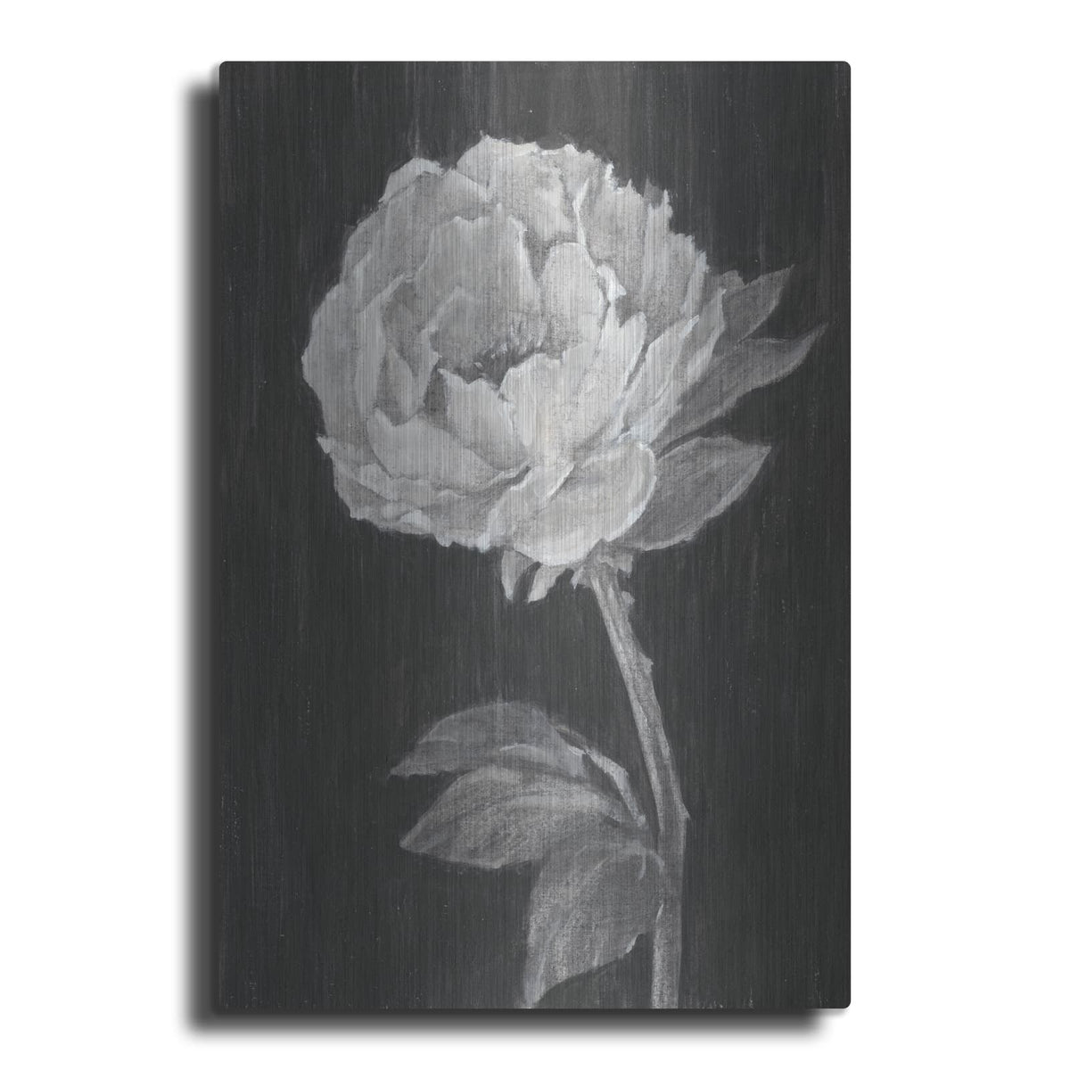 'Black And White Flowers 2' by Ethan Harper – Metal Wall Art