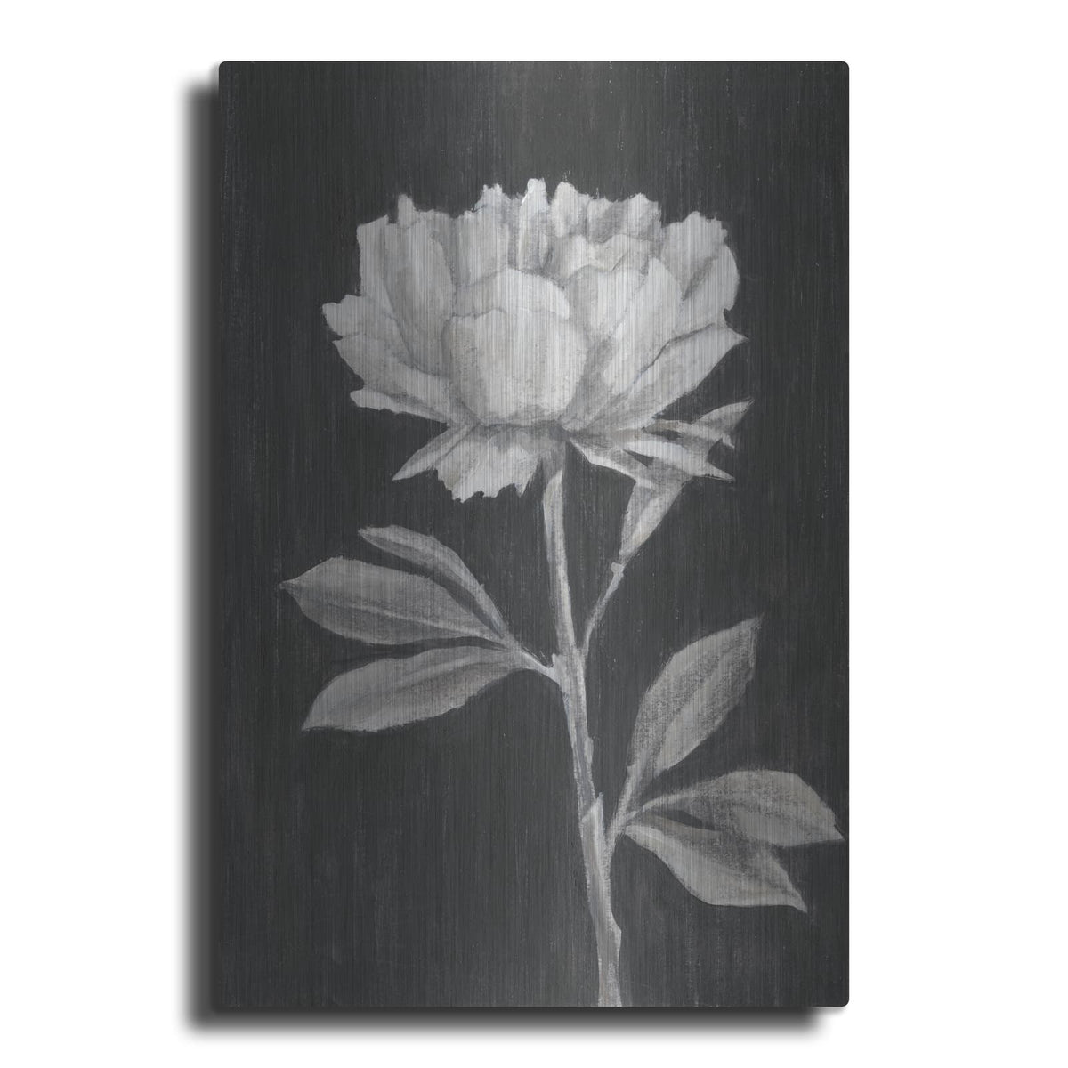 'Black And White Flowers 3' by Ethan Harper – Metal Wall Art