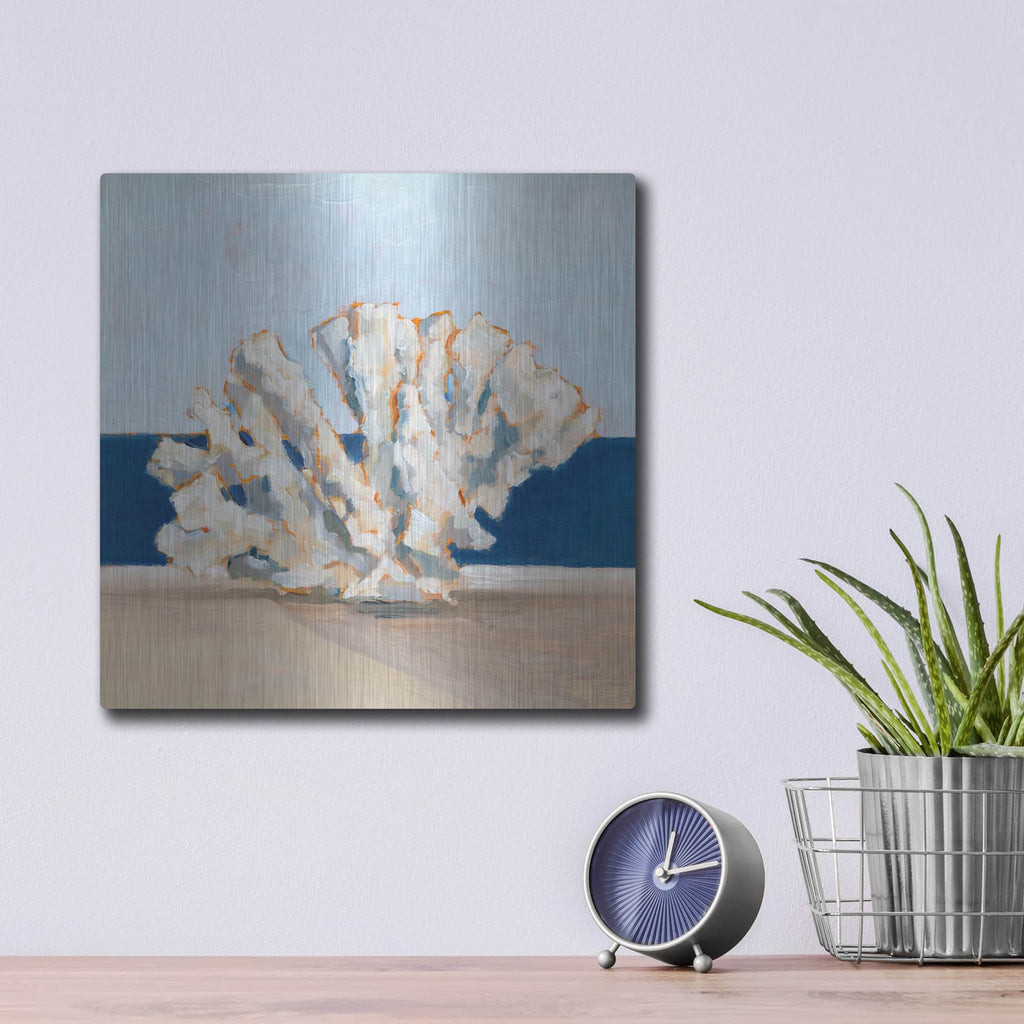 'Coral by The Shore 1' by Ethan Harper – Metal Wall Art, 12x12 room view