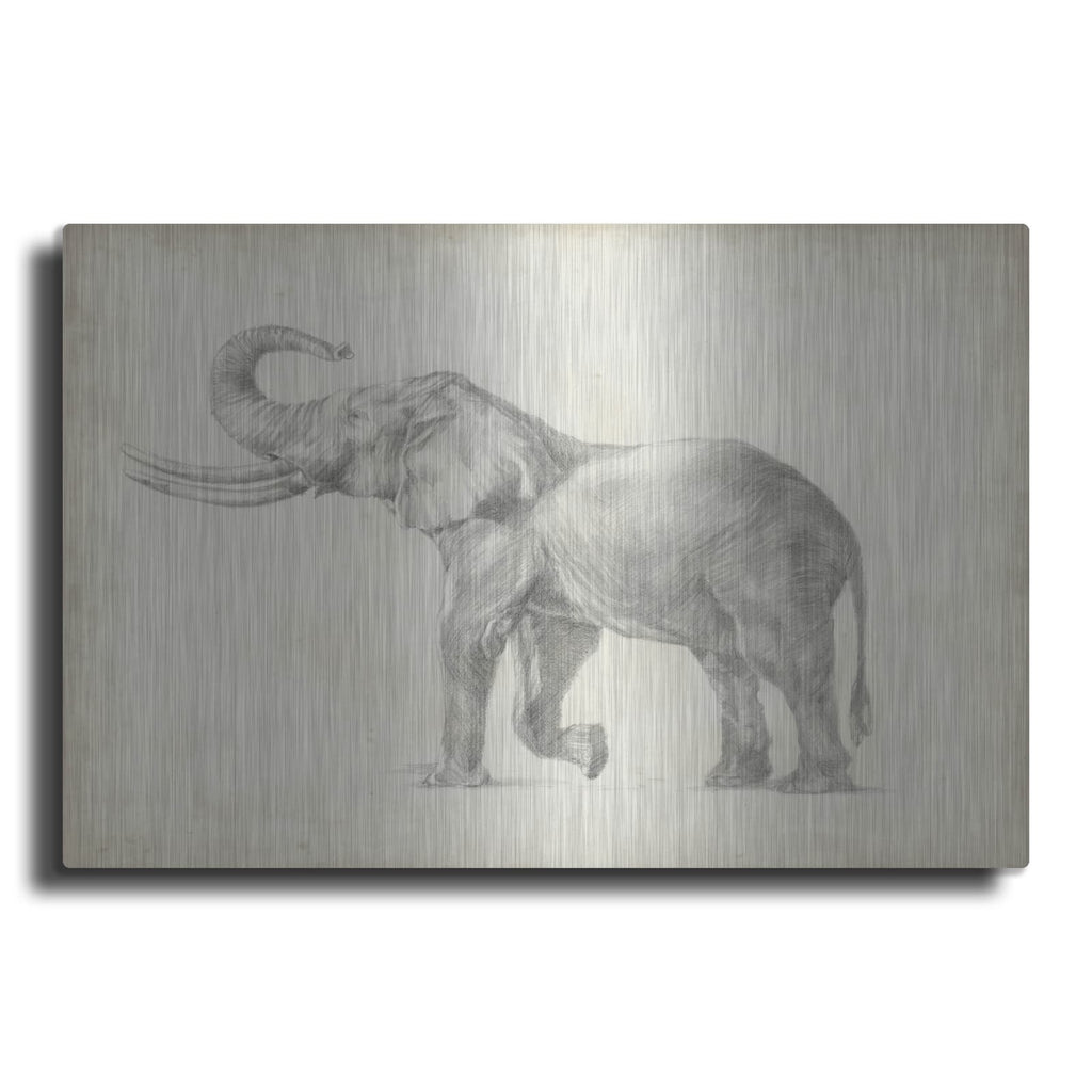 'Elephant Sketch 1' by Ethan Harper – Metal Wall Art