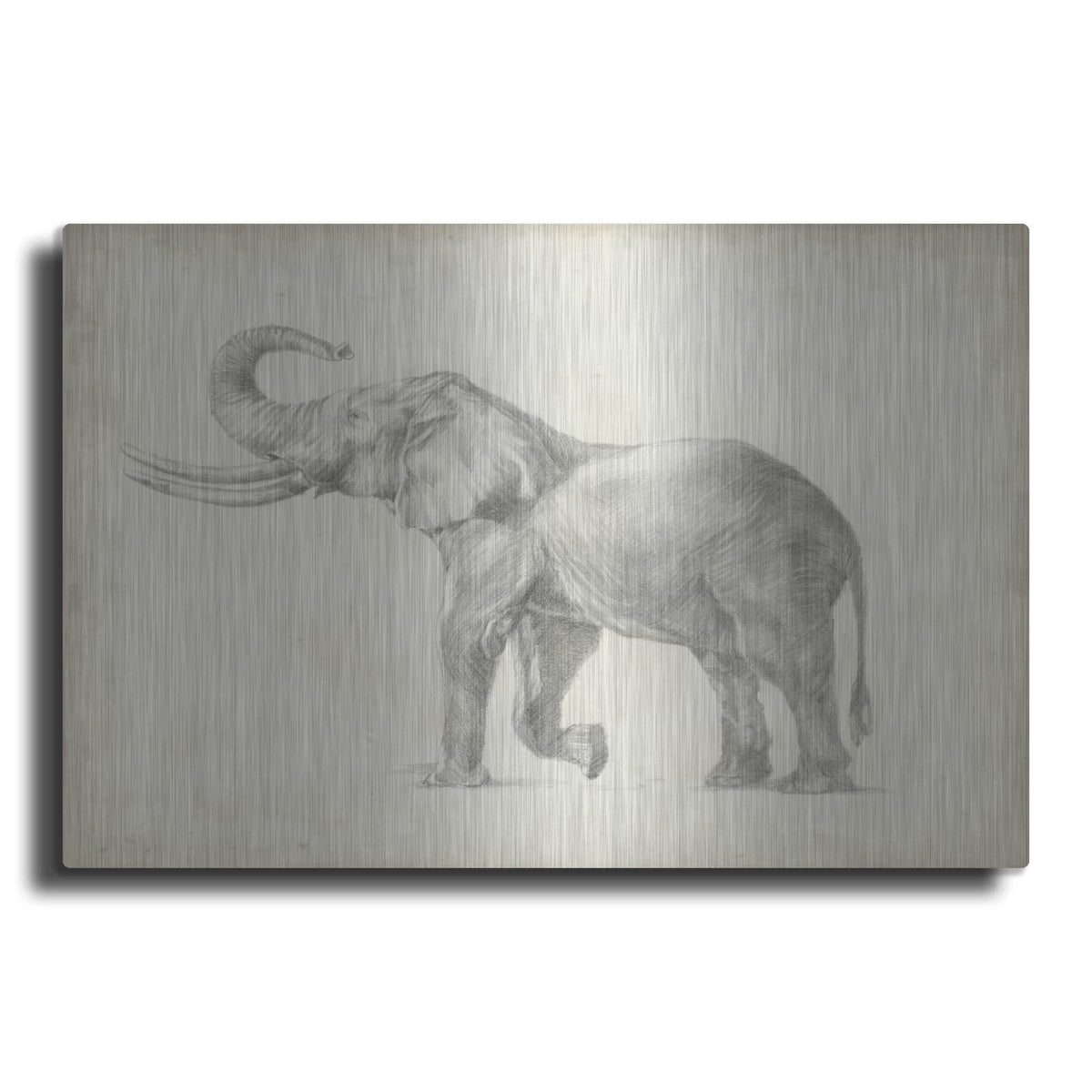'Elephant Sketch 1' by Ethan Harper – Metal Wall Art