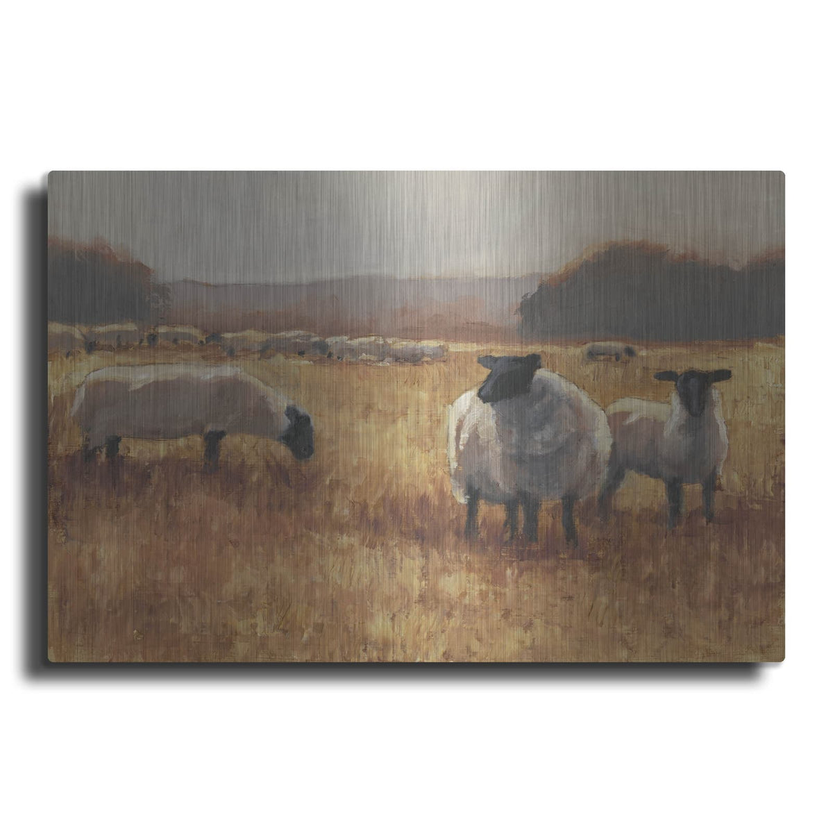 'Grazing At Sunset 2' by Ethan Harper – Metal Wall Art