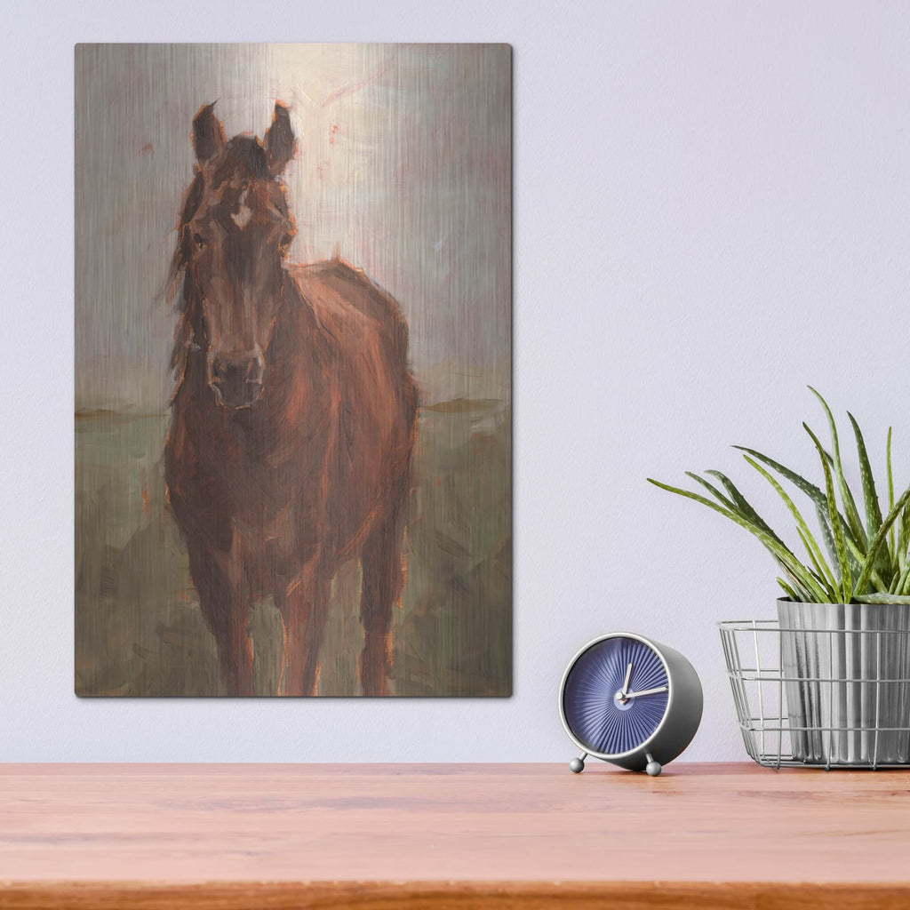 'Out Grazing 1' by Ethan Harper – Metal Wall Art, 12x16 room view