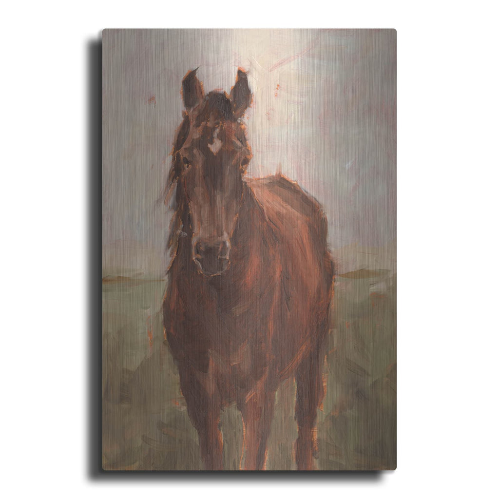 'Out Grazing 1' by Ethan Harper – Metal Wall Art