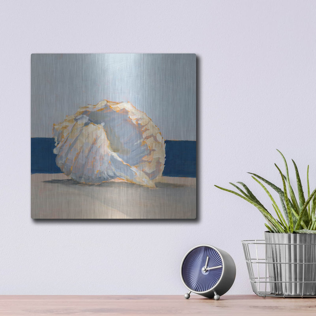 'Shell by The Shore 2' by Ethan Harper – Metal Wall Art, 12x12 room view