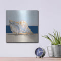 'Shell by The Shore 3' by Ethan Harper – Metal Wall Art, 12x12 room view