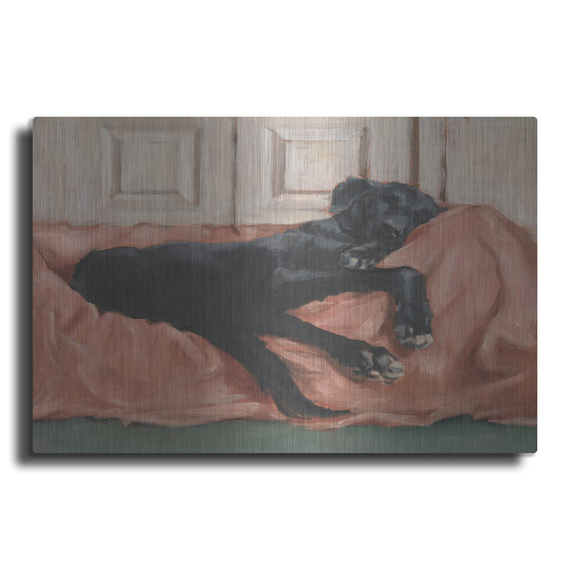 'Traditional Canine Portrait 3' by Ethan Harper – Metal Wall Art