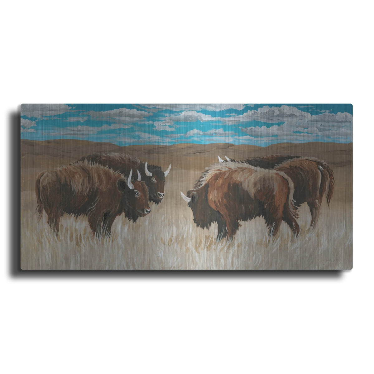 'Bison Herd 2' by Cindy Jacobs – Metal Wall Art