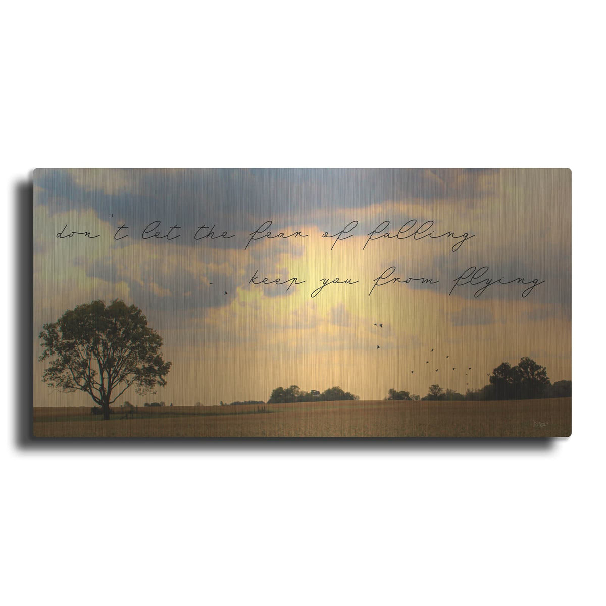 'Fear Of Falling' by Donnie Quillen – Metal Wall Art