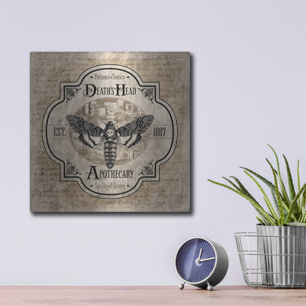 'Death's Head Apothecary' by Lauren Rader – Metal Wall Art, 12x12 room view