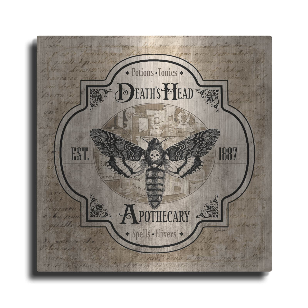 'Death's Head Apothecary' by Lauren Rader – Metal Wall Art