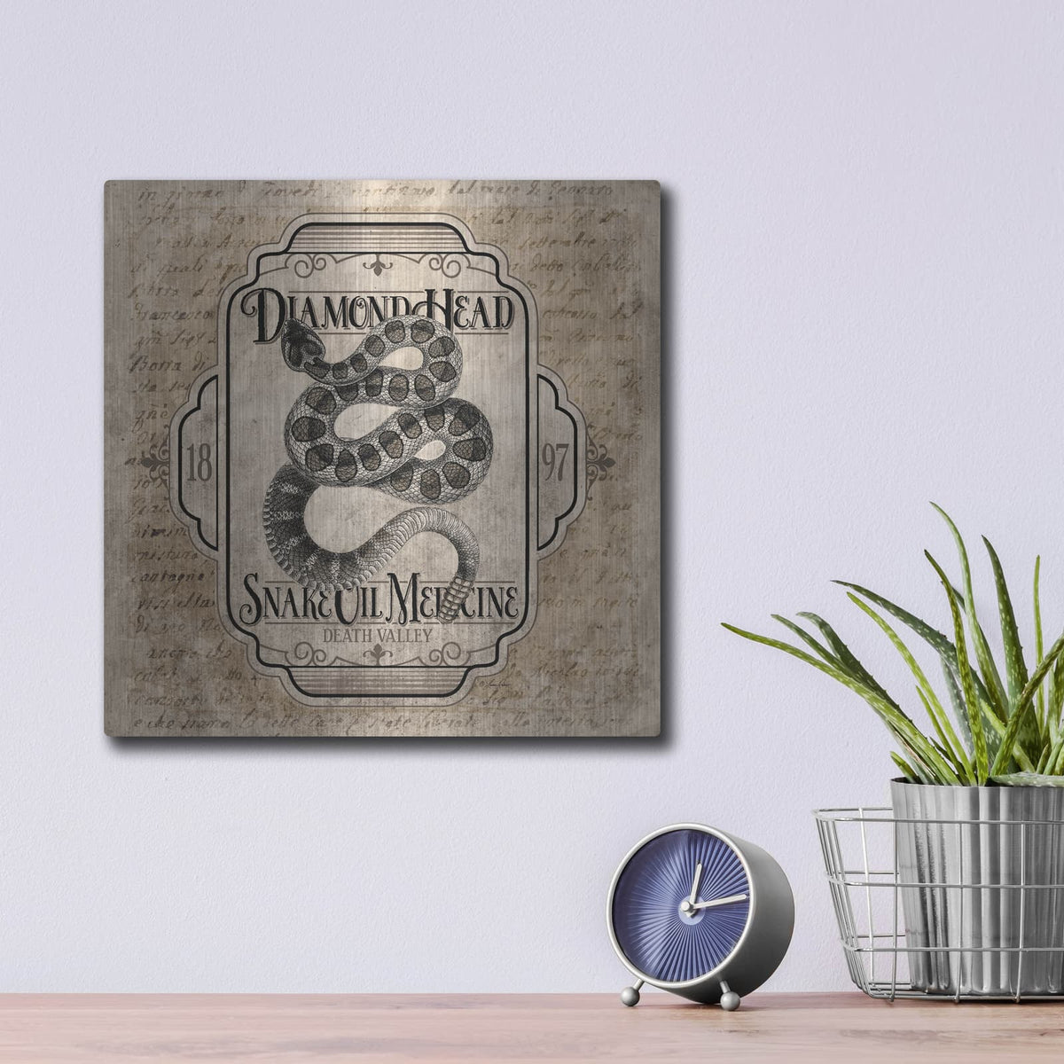 'Diamond Head Snake Oil Medicine' by Lauren Rader – Metal Wall Art, 12x12 room view