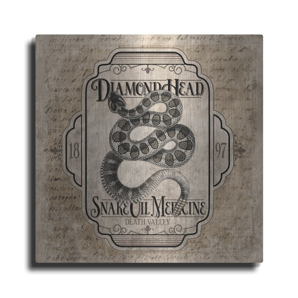 'Diamond Head Snake Oil Medicine' by Lauren Rader – Metal Wall Art